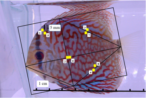 1648434760681405.png image.png