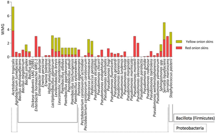 1722330598940191.jpg 1722330594920.jpg